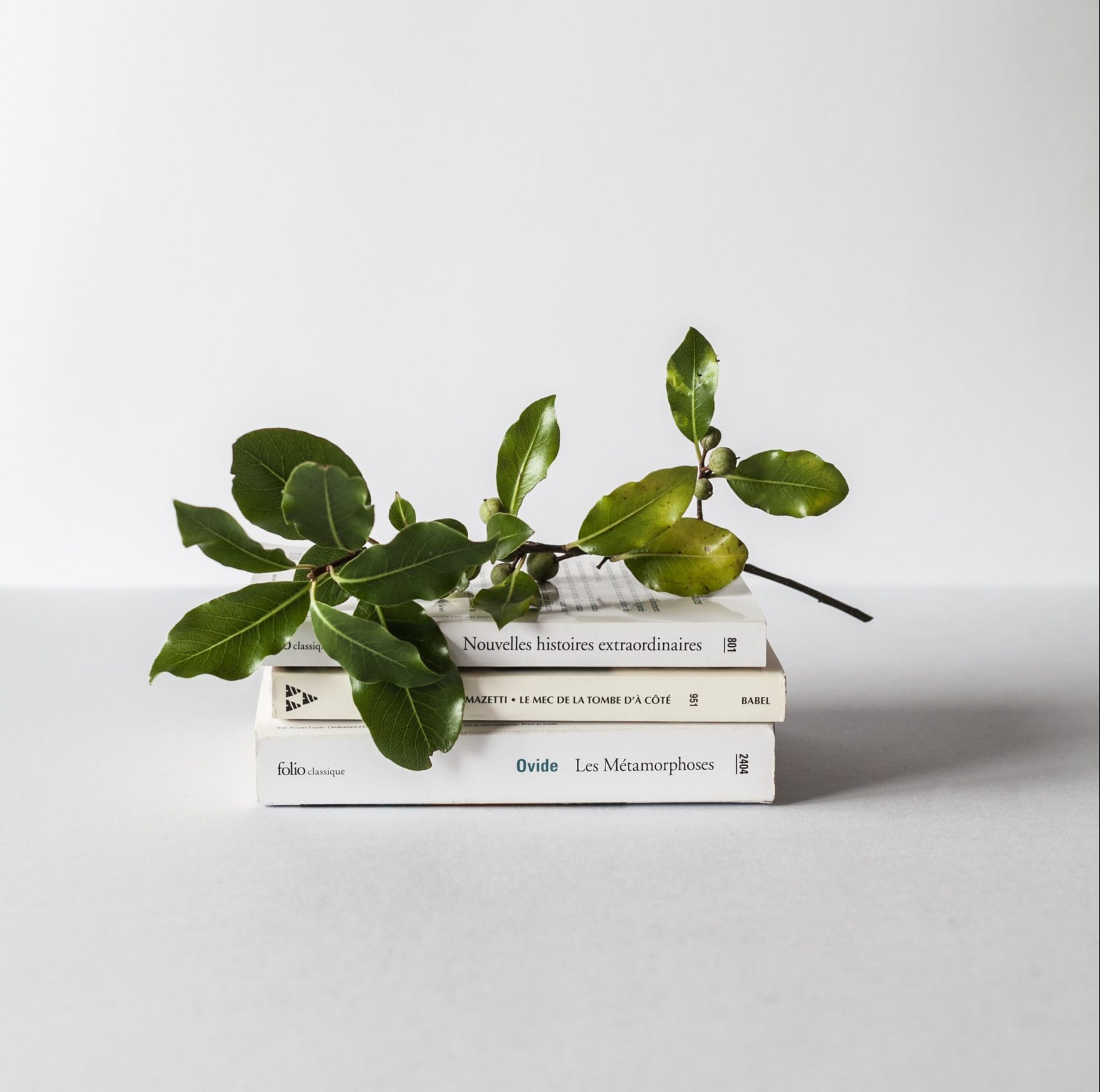 alex-lvrs-2zDw14yCYqk-unsplash